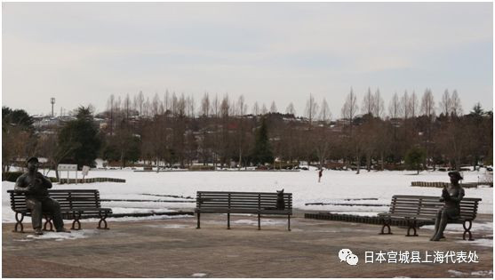 开挂的人生小说后续,羽生结弦冰上王子