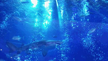 四川居然有一片蓝色海洋,成都蓝色海洋