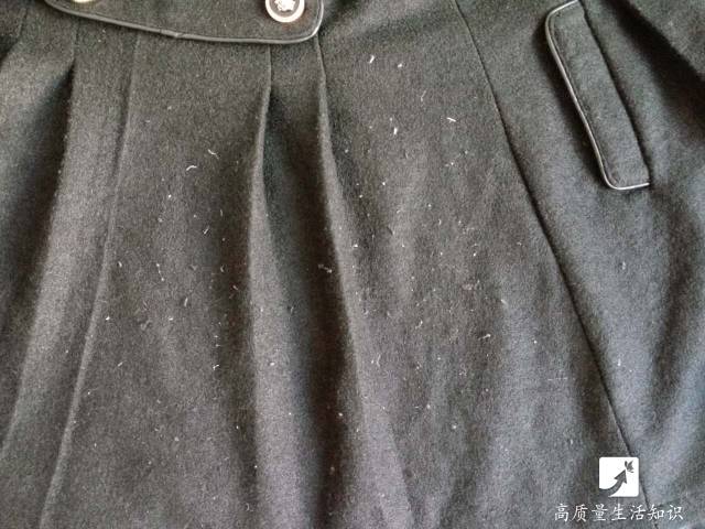 衣服粘毛咋办一招简单教你解决,衣服粘毛怎么办教你6招轻松搞定