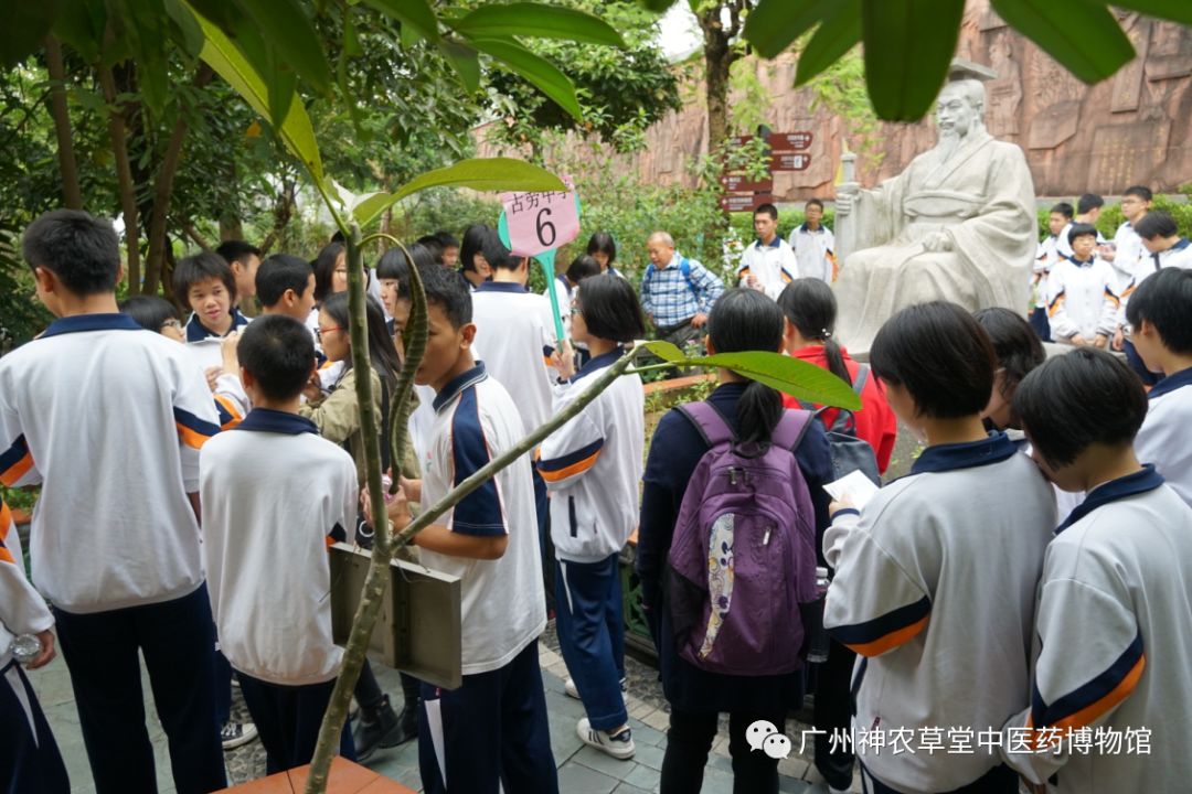 神农草堂王老吉博物馆,广药集团神农草堂