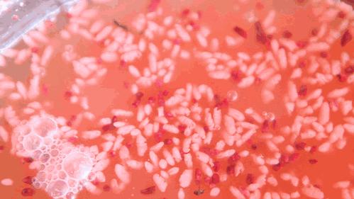 风景秀丽的浙南小城,富有魅力的浙南小城