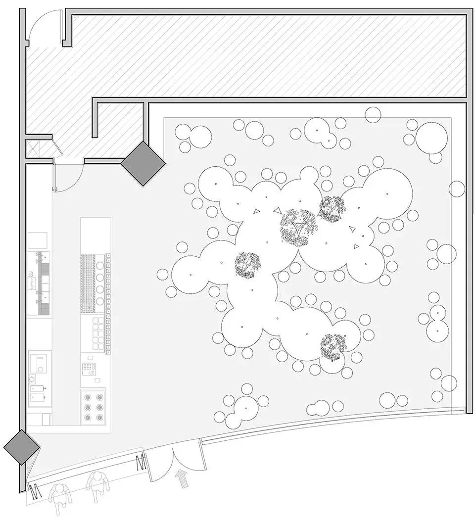 网红茶叶第一茶,抖音喝茶第一人