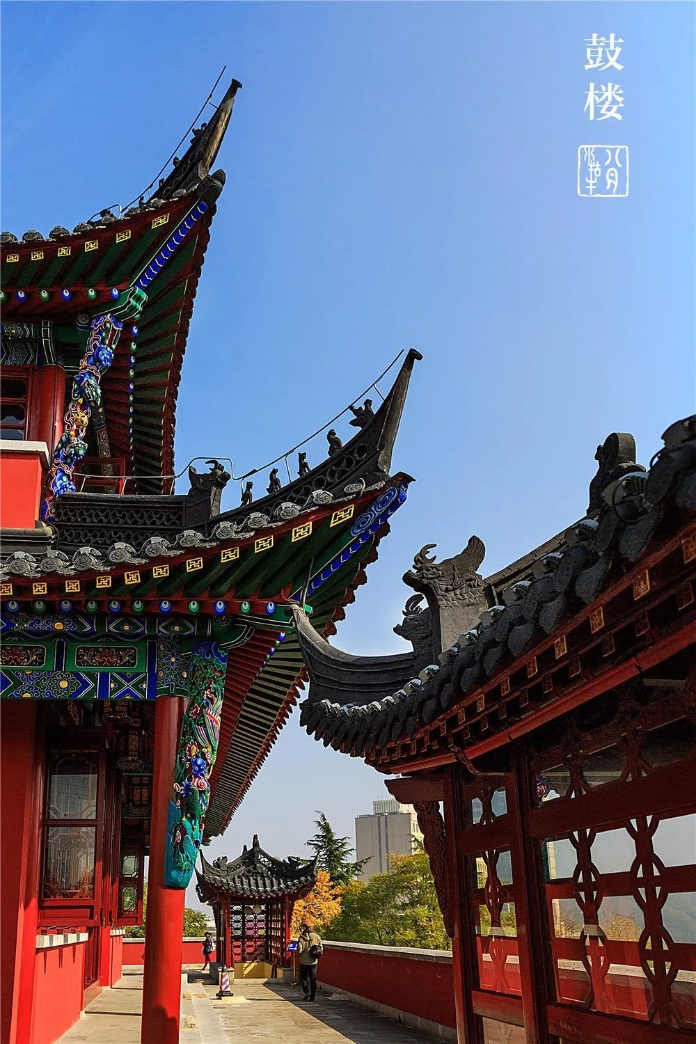 鼓楼70岁的老人免费吗,鼓楼60岁以上老人免票吗