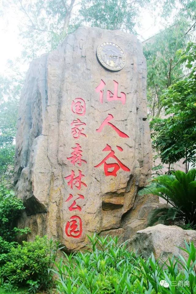 这是一份来自三明的“春天使用说明书”，请仔细阅读！