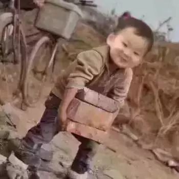 我和我的专业相爱相杀的每一天