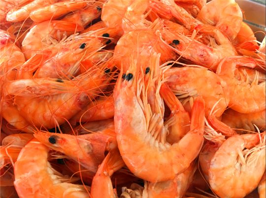 活动征集细则,活动征集阶段