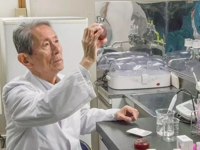 手工皂怎样用手打出绵密的泡沫 (晶莹剔透的手工皂)