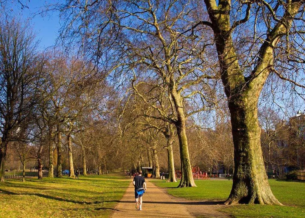 在学校跑步给人撞伤,在校外被车撞到谁的责任