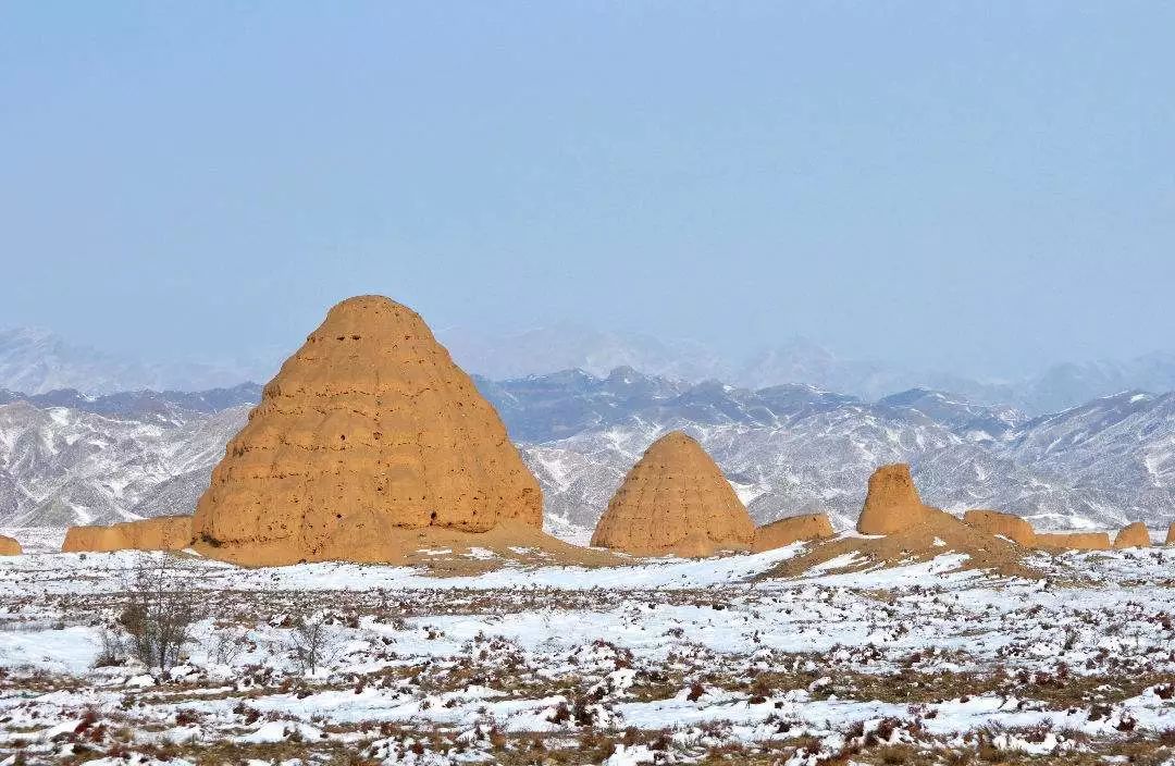 好消息银川市西夏区,宁夏最近有啥好消息