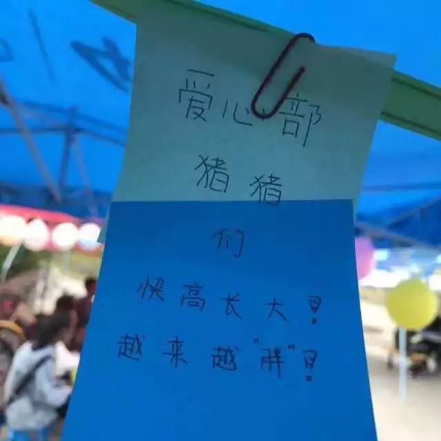 公益类志愿者活动,青年志愿者公益活动正式开启