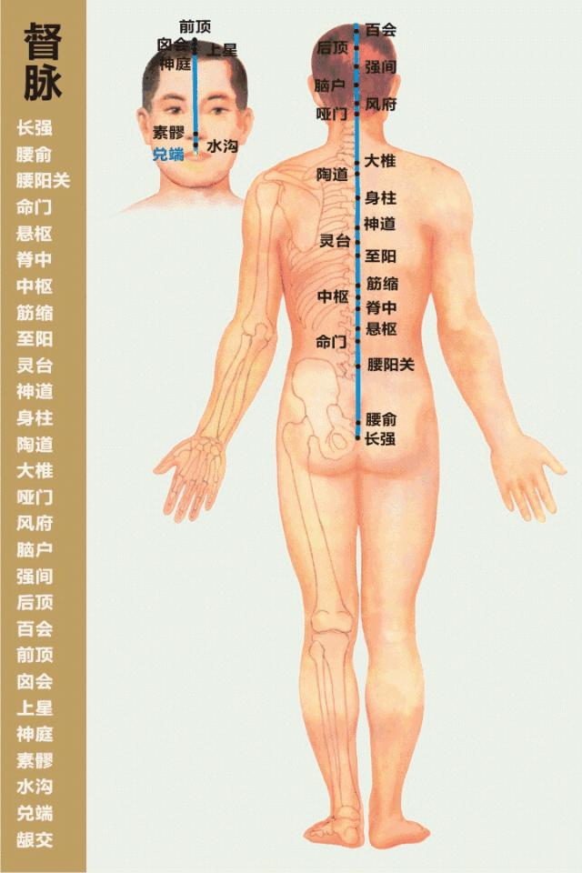 经络最全动图,经络高清穴位大图