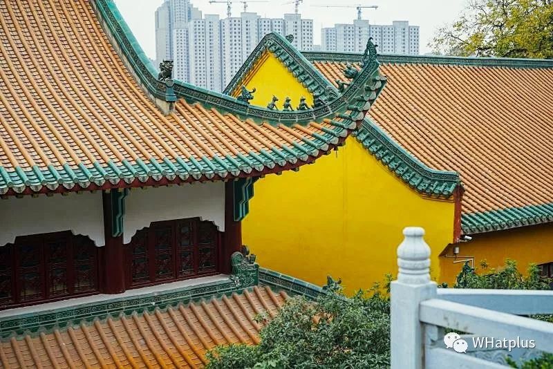 南普陀寺素菜馆推荐,观音山十大素菜馆