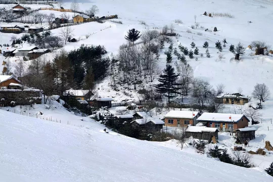 廿四节气丨和大家聊聊“大雪的几件事”