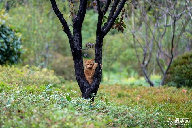 性价比之王富士x-t30无反相机推荐,富士xt3全面评测