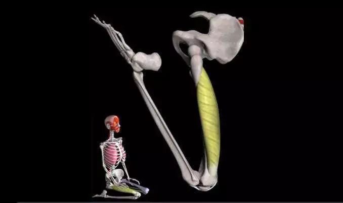 瑜伽金刚离心跪,瑜伽金刚跪的热身体式