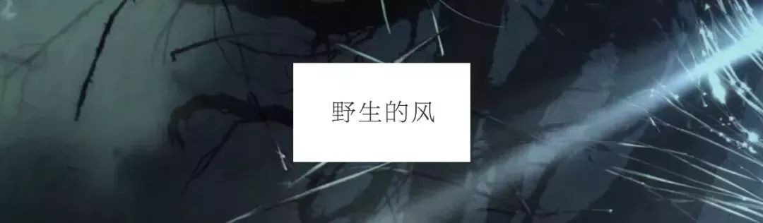 喜欢雪小禅的句子,雪小禅世间最美的相遇