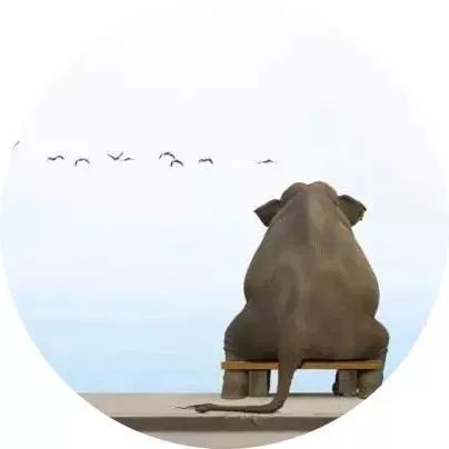 当你没钱时你会明白很多现实道理,夜听当你没钱的时候你会明白很多