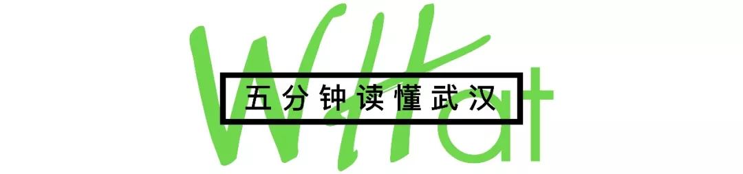 武汉东湖小白民宿,武汉森林玻璃房民宿