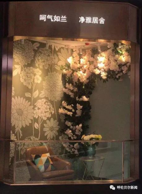 兰舍硅藻泥和合成墙面哪个好,兰舍硅藻泥用设计诠释轻奢的高级