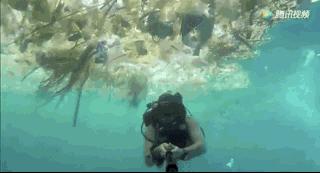 星巴克吸管缺点,星巴克吸管降解能用多少年