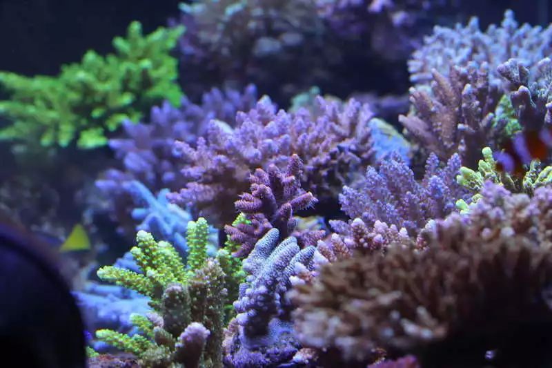 60海缸开缸全记录,1.2米的海缸开缸需要多少费用