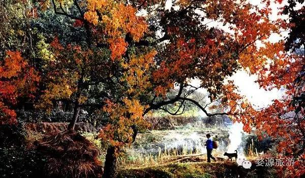 鍚勮矾鑻遍泟濂芥眽榻愯仛浜庢鐗囨,鍚勮矾鑻遍泟濂芥眽榻愯仛鍦ㄦ