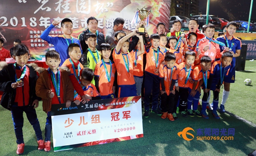 2020东莞足球比赛,2018东莞市足球联赛