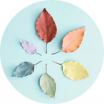 天津体育场草坪养护管理,合肥体育场草坪养护服务