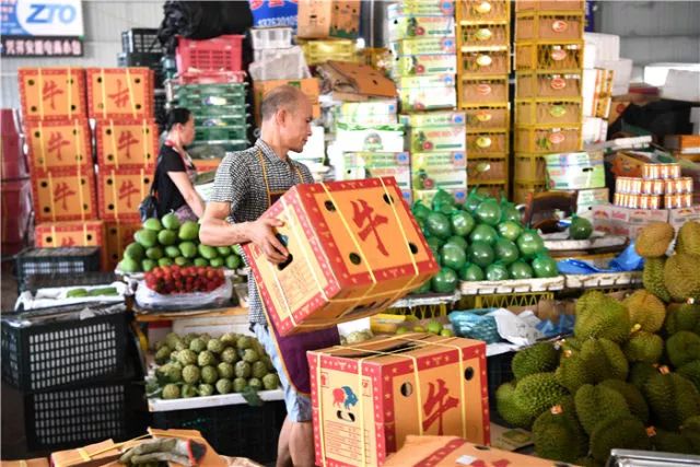 八桂大地起春潮——以习*平近**同志为核心的*党**中央关心广西发展纪实