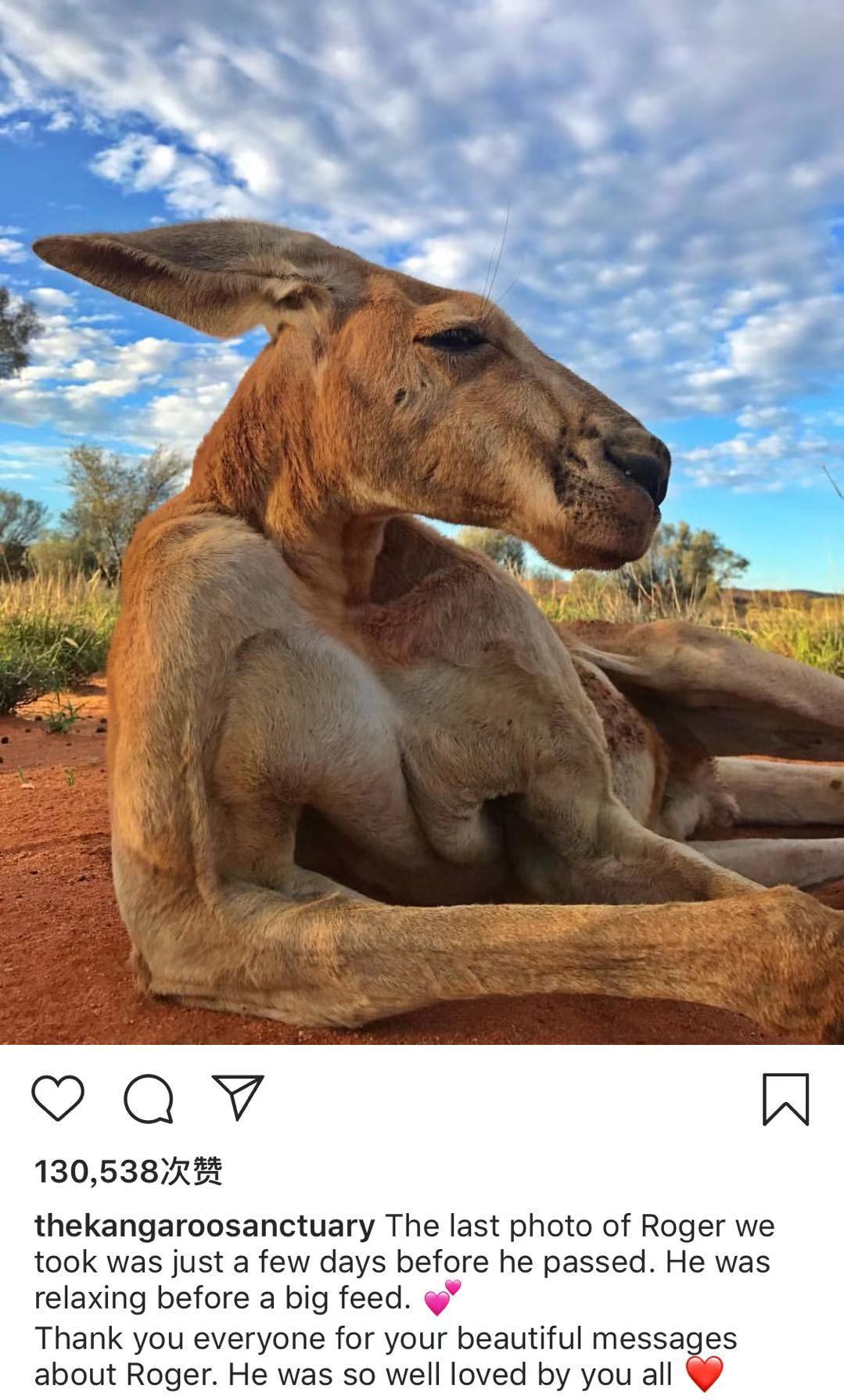 琚嬮紶缃戠孩鍘讳笘,鏂界摝杈涙牸琚嬮紶