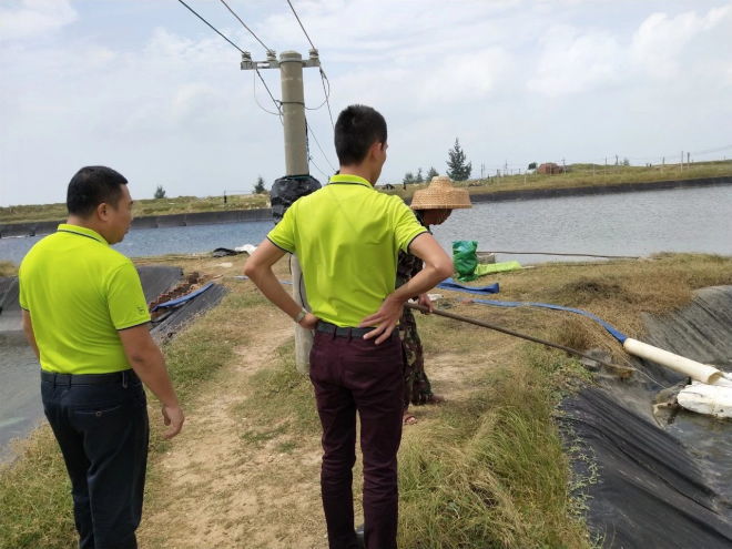 水产养殖如何杀灭蓝藻病害,蓝藻绿藻怎么防治