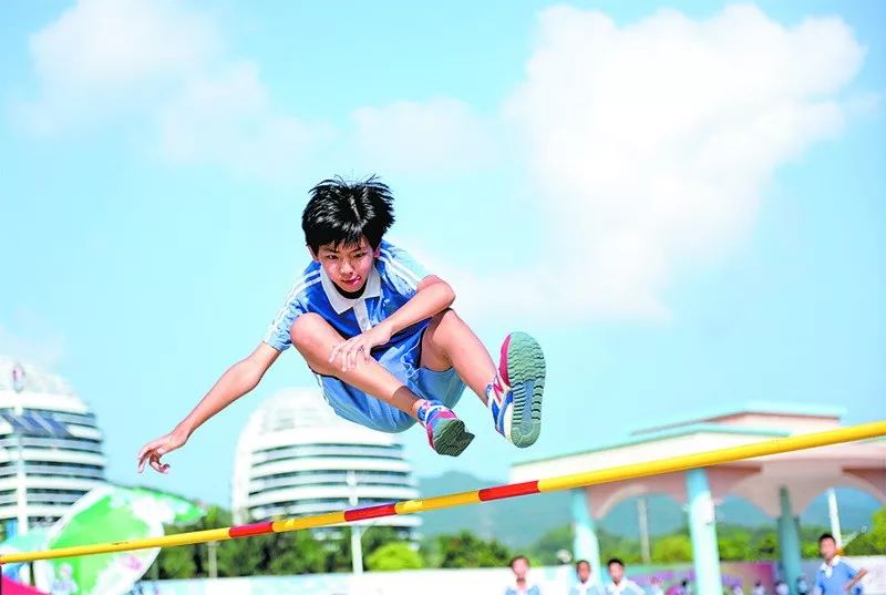 入展作品欣赏,入展作品展示