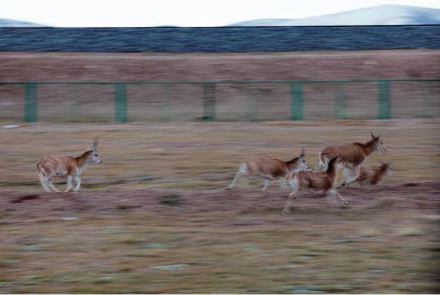 拍照模糊的方法是什么,拍照模糊怎么处理才能变清晰