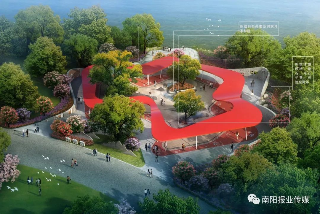 最美南阳月季园,看到美丽的月季花心情豁然开朗