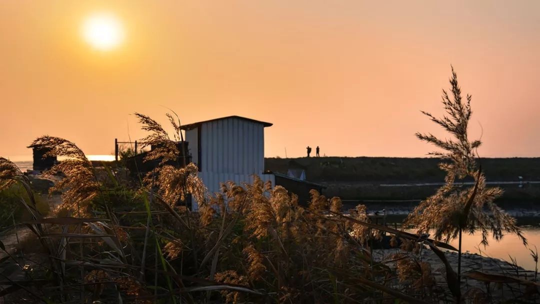 新安、福海、沙井、新桥、燕罗2019年关键词出炉,速度来get!