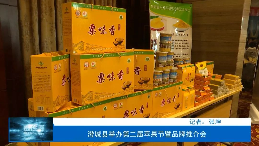 澄城县第三届樱桃文化艺术节,澄城县苹果