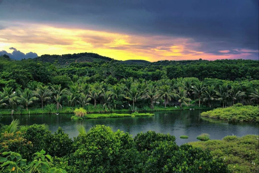 海南琼中志愿者招募,2024青年羽毛球锦标赛志愿者报名