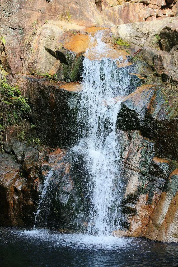 厦门云雾缭绕人间仙境山顶美景,厦门最美山上风景