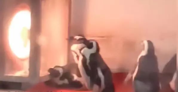 12.16日｜新早读来了！史诗级渣男？男子一天撩75个女生与女友闺蜜表姐约会被当场抓住