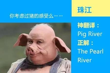 四六级神翻译,四六级翻译神评