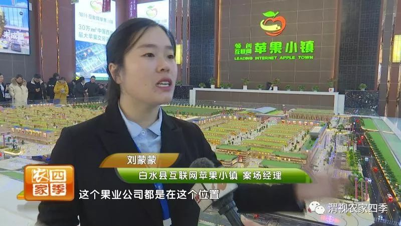 互联网苹果小镇接待中心,白水互联网苹果小镇招商直播