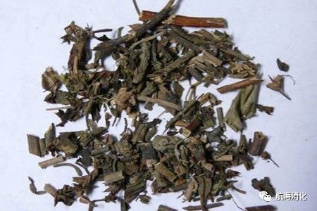 医生报道三七伤肝是真的吗,三七伤肝还是护肝