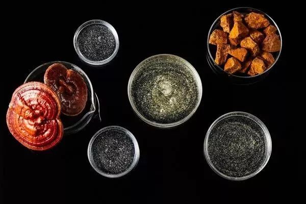 要你好看谐音,要你好看粤语