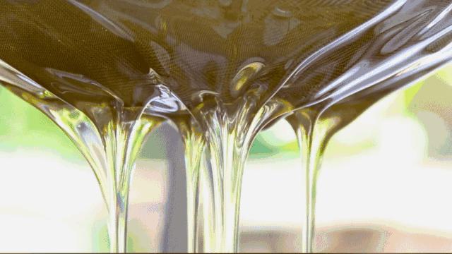 网曝同仁堂过期蜂蜜,北京同仁堂过期蜂蜜事件处理结果