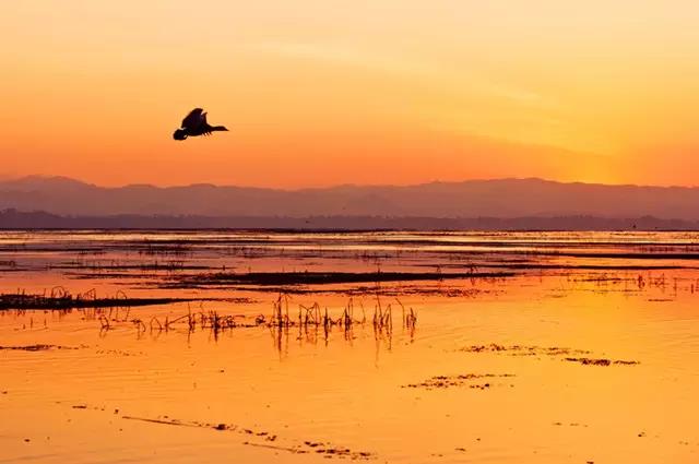 抖音十大热门旅行目的地,抖音十大热门旅行目的地公布