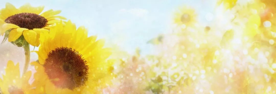 青年支教老师视频,阿勒泰支教老师长文刷屏朋友圈