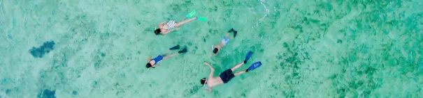 现在的你最美的样子 (20年前的你和现在的你一样美)