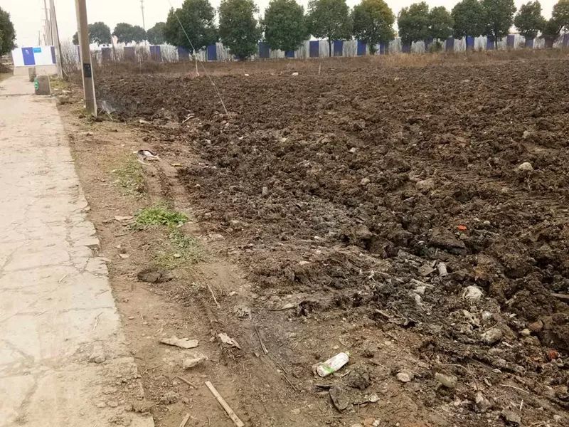 双月攻坚专项行动,每周时政播报