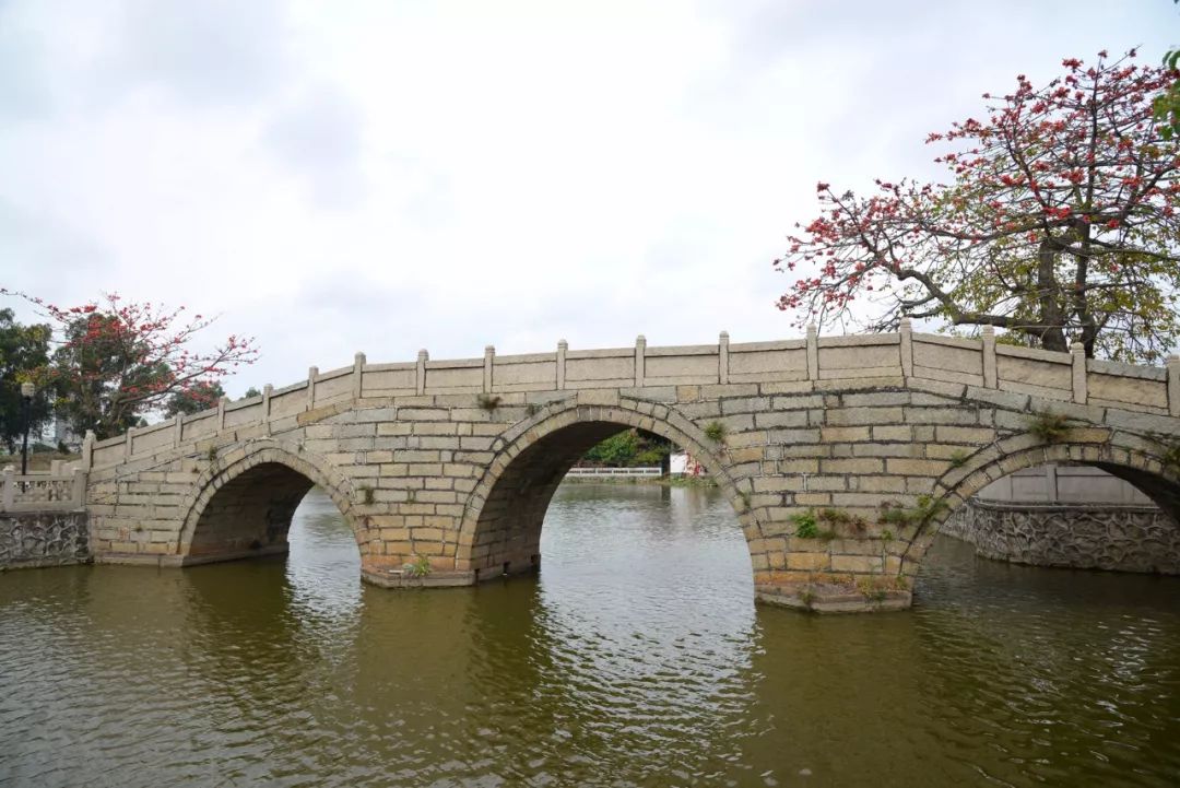 这就是新桥,这里是新桥小学