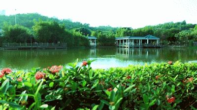 这里是新桥,这里是重庆